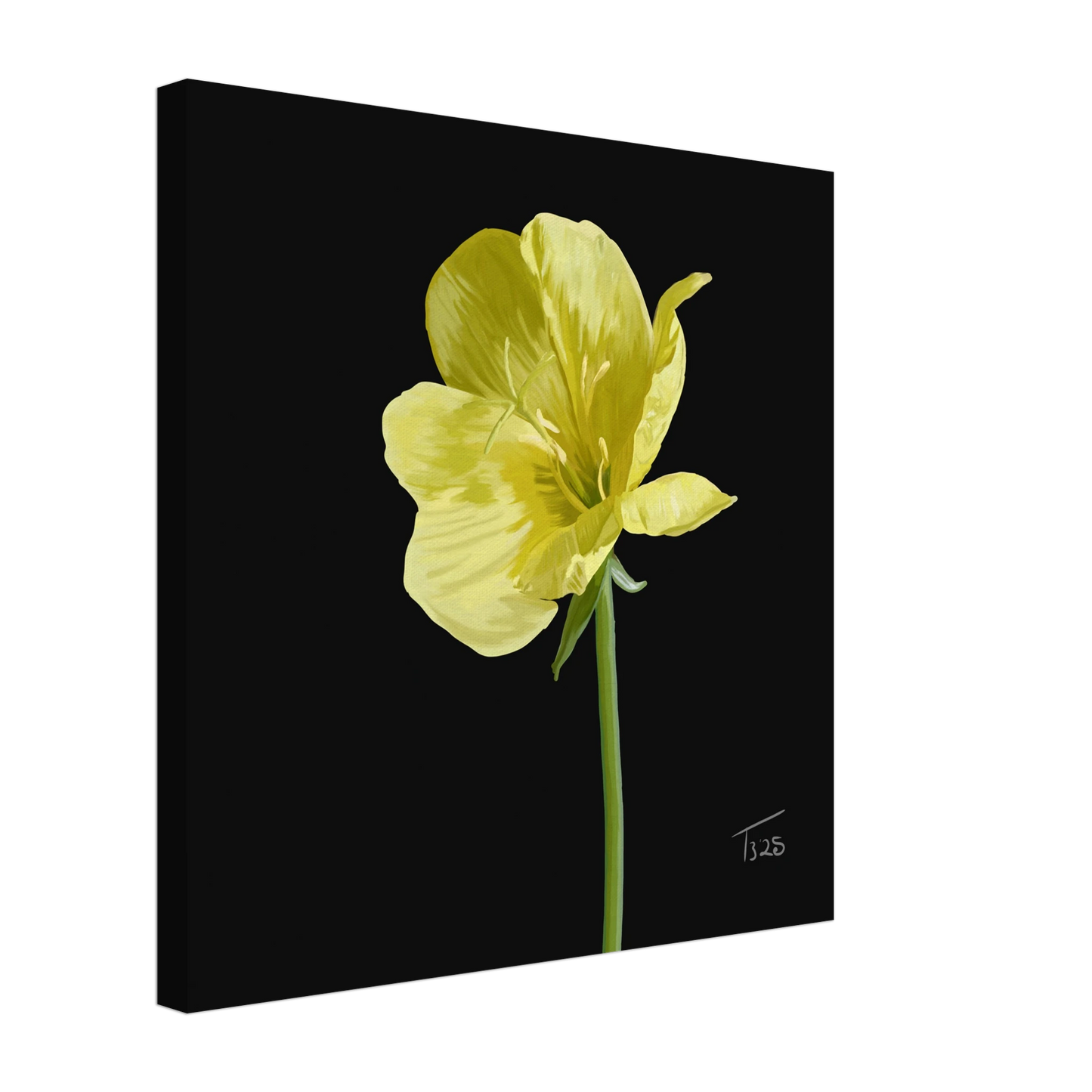 b-2025-bot-evening-primrose-yellow