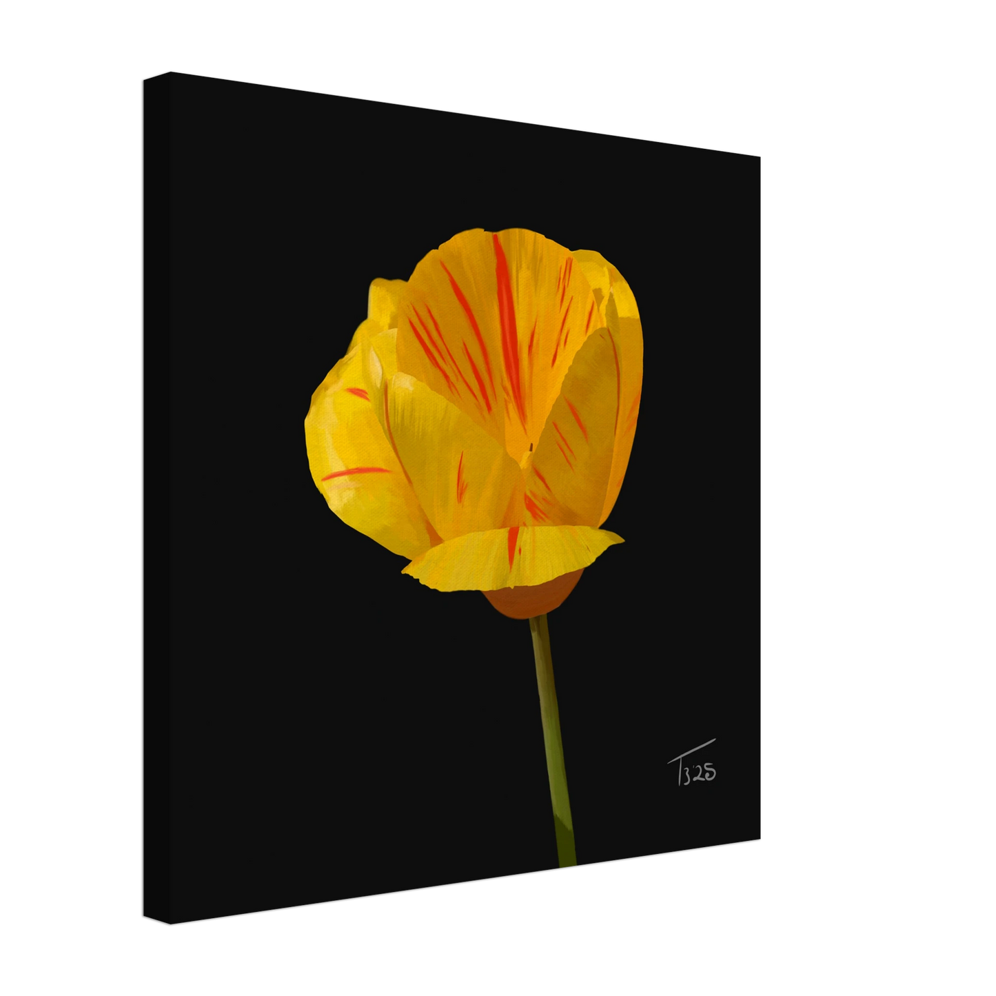 b-2025-bot-tulip-tiger-tulip-yellow