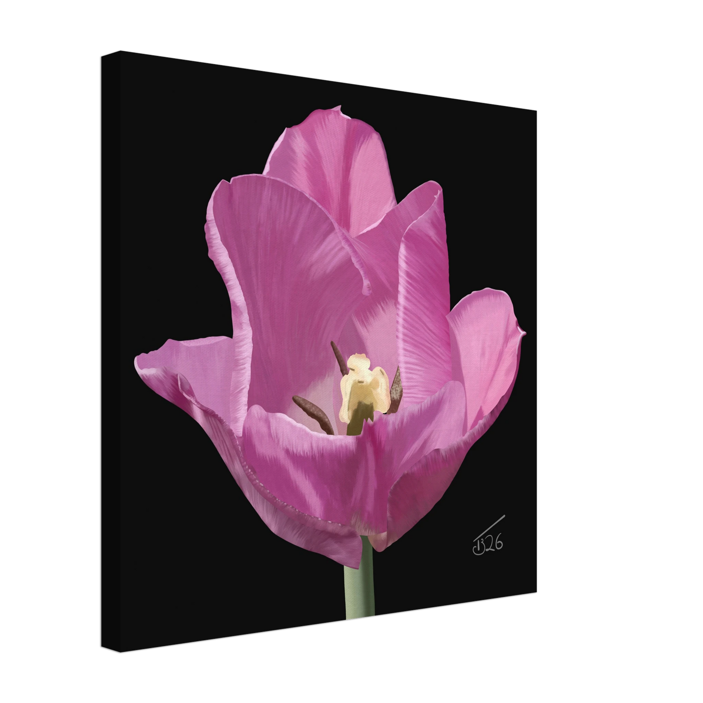 b-2026-bot-tulip-alibi-lilac