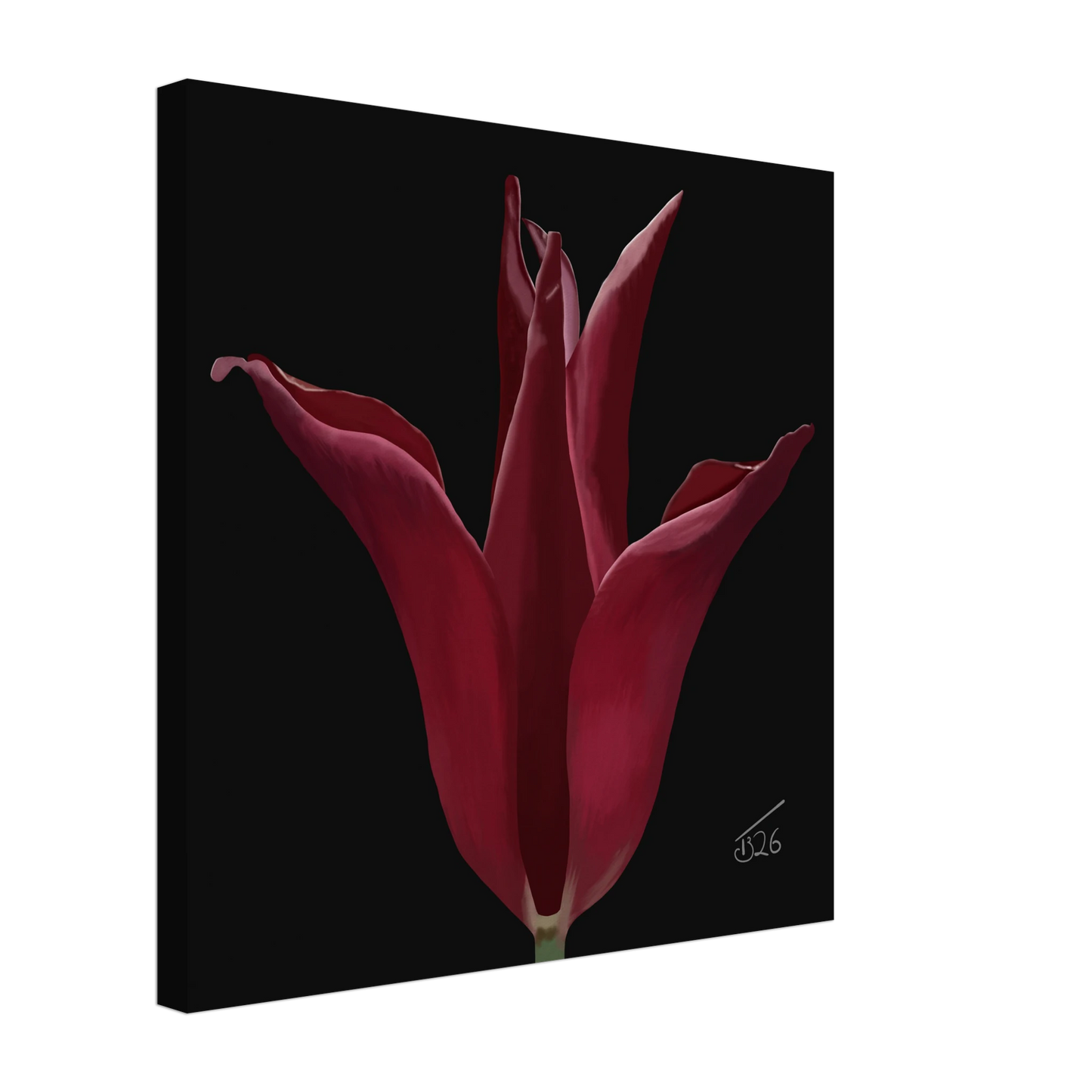 b-2026-bot-tulip-sarah-raven