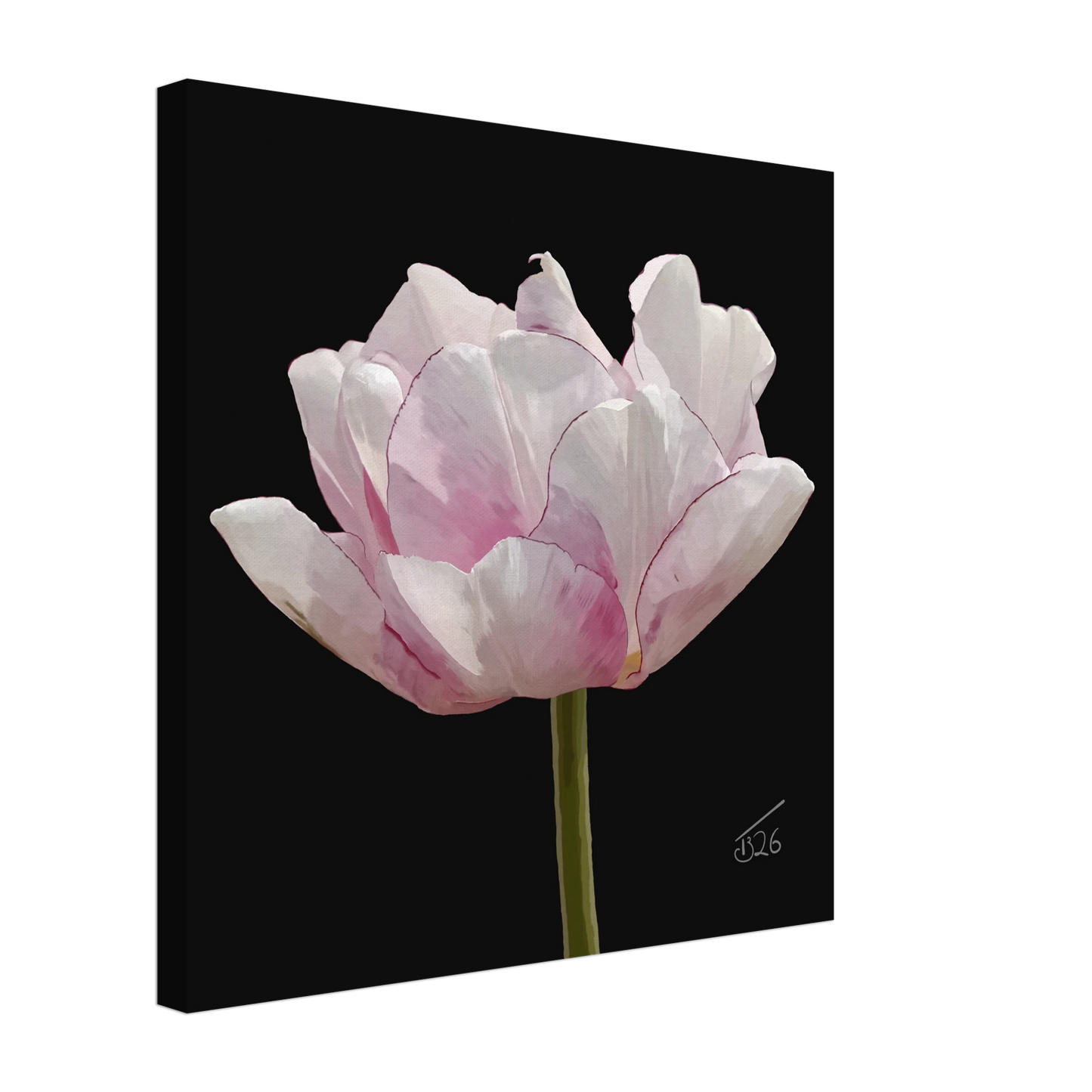 b-2026-bot-tulip-tulip-angelique