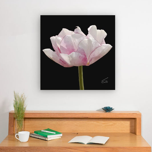 Tulip 'Angelique' - Premium Square Canvas Art (50 x 50 cm)