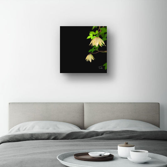 Golden Clematis Tangutica Botanical Canvas Print – White & Noir Editions (50 x 50 cm)