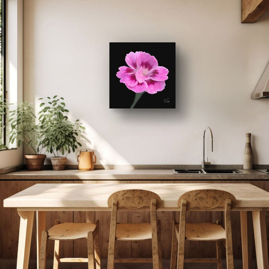 Dianthus Oscar Purple Star - Premium Square Canvas Art (50 x 50 cm)