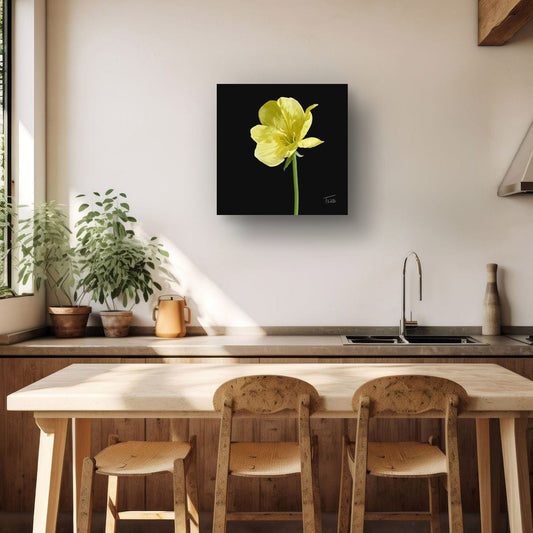 Evening Primrose Yellow - Premium Square Canvas Art (50 x 50 cm)