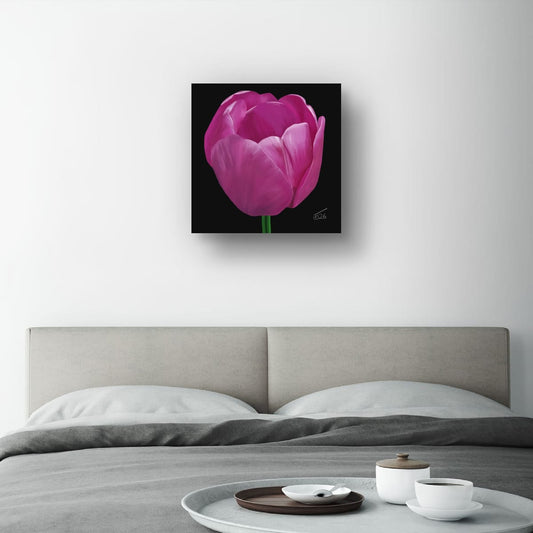 Purple Passion Tulip - Premium Square Canvas Art (50 x 50 cm)
