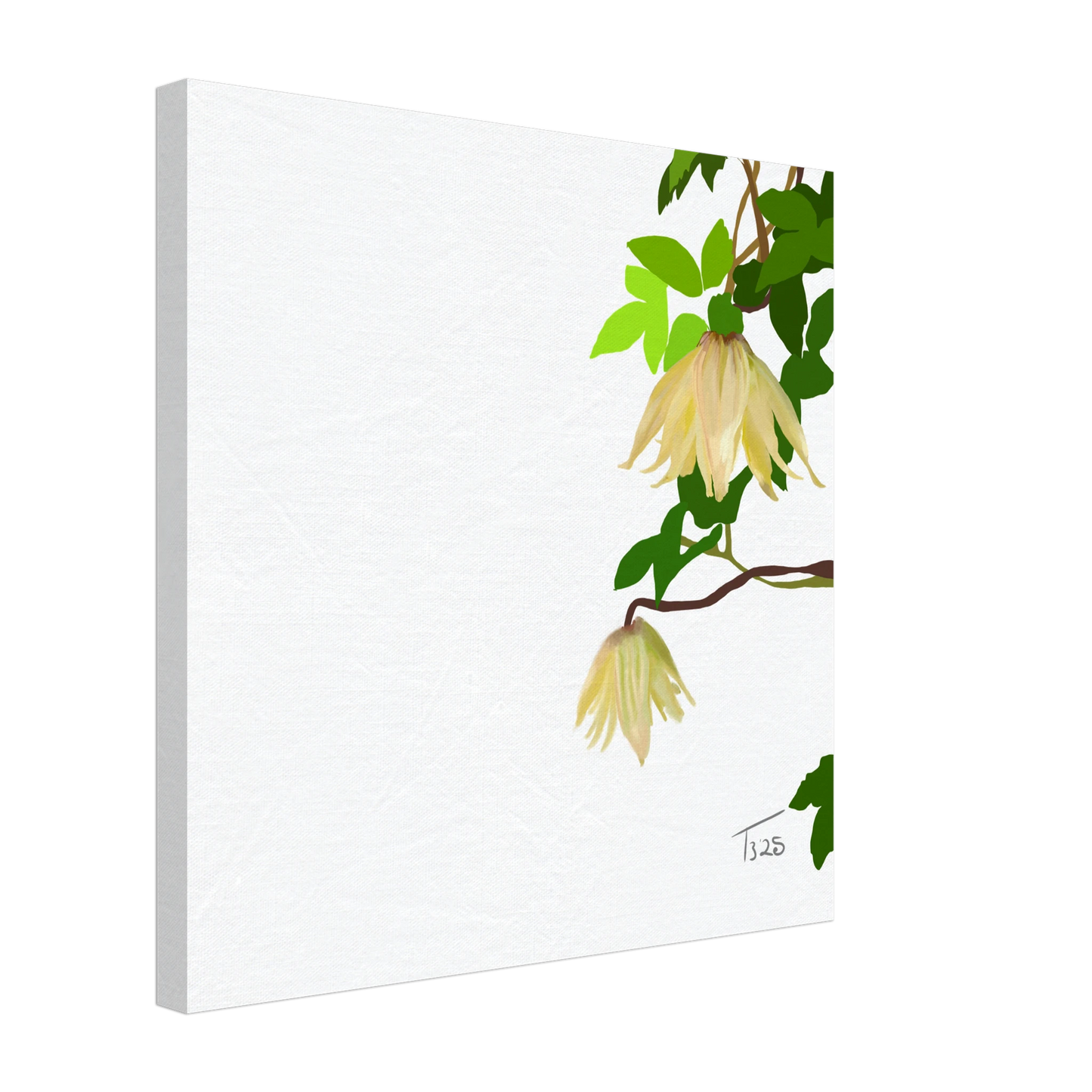 w-2025-bot-clematis-yellow