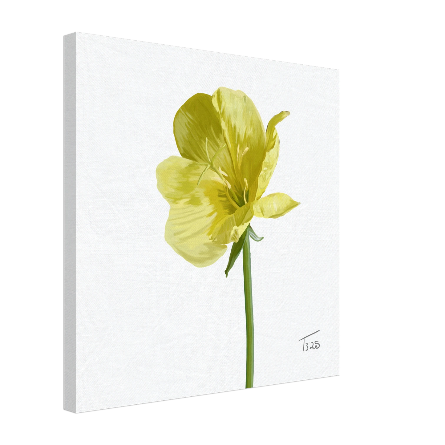 w-2025-bot-evening-primrose-yellow