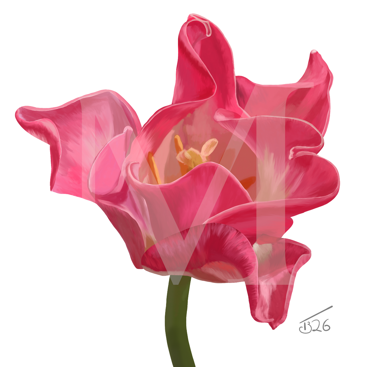 Crown of Destiny Red Tulip Botanical Canvas Print - Black & White Background Wall Art