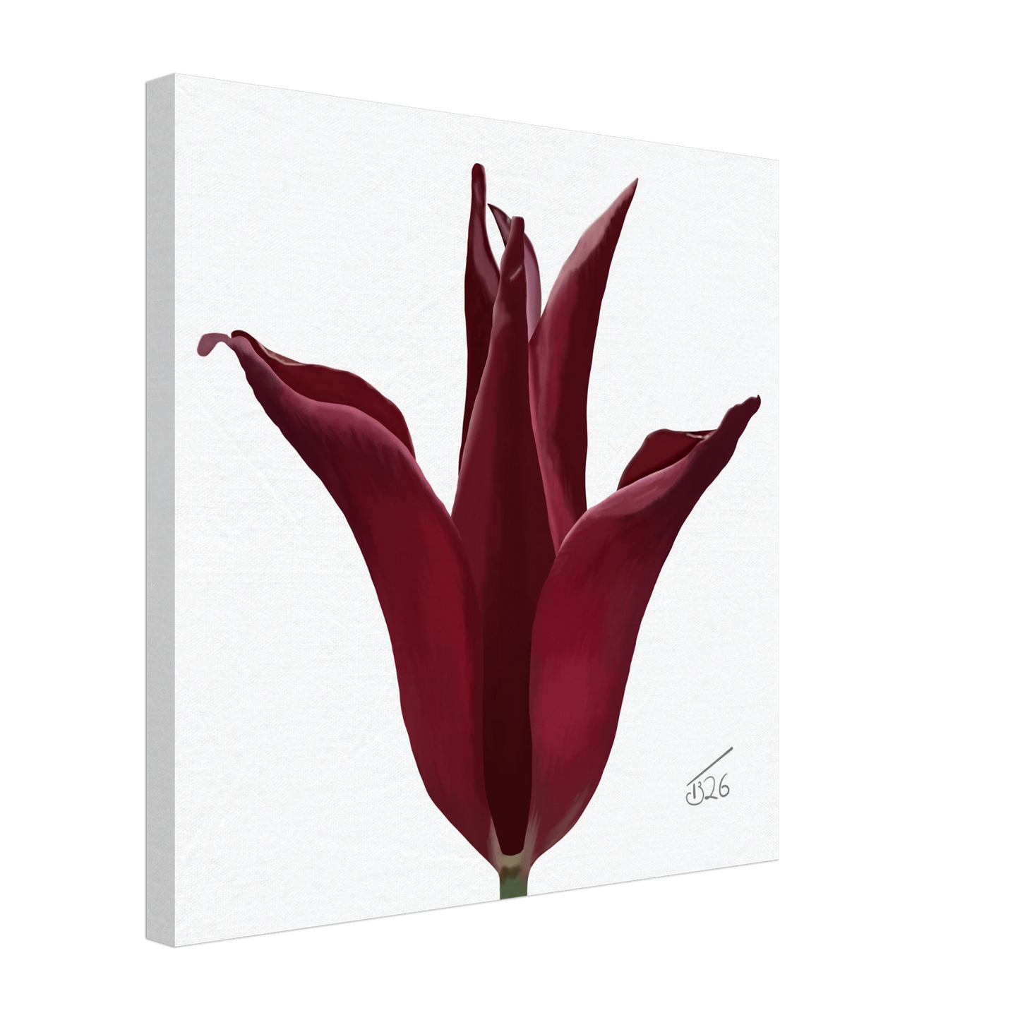 w-2026-bot-tulip-sarah-raven