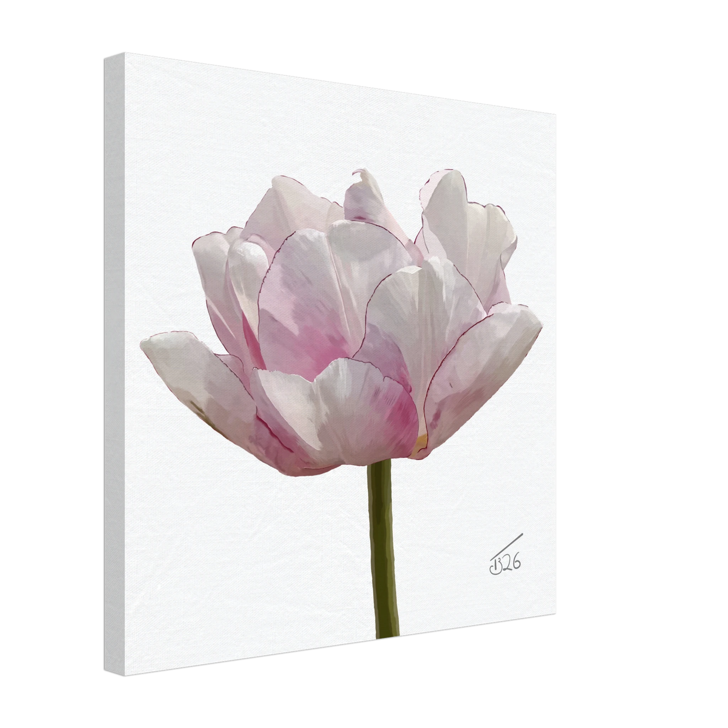 w-2026-bot-tulip-tulip-angelique
