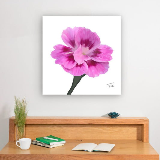 Dianthus Oscar Purple Star - Premium Square Canvas Art (50 x 50 cm)