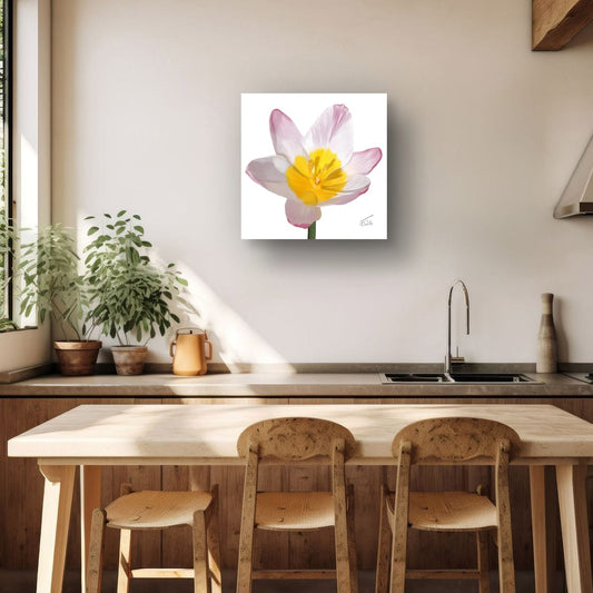 "Ethereal Bloom" Parrot Tulip - Premium Square Canvas Art (50 x 50 cm)