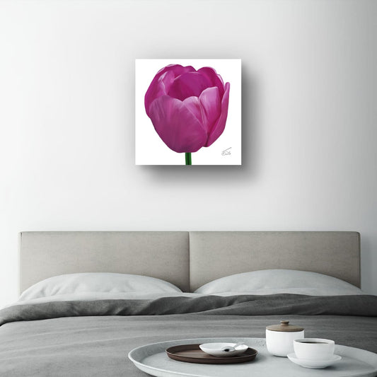 Purple Passion Tulip - Premium Square Canvas Art (50 x 50 cm)
