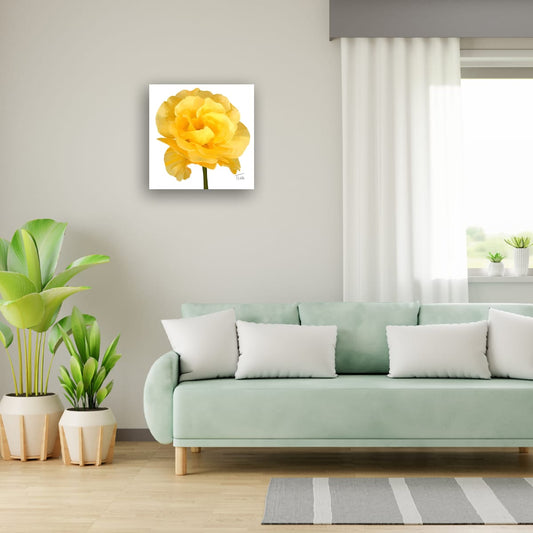 Golden Heirloom Rose - Premium Square Canvas Art (50 x 50 cm)