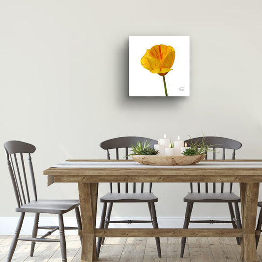 "Golden Flame" Tiger Tulip - Premium Square Canvas Art (50 x 50 cm
