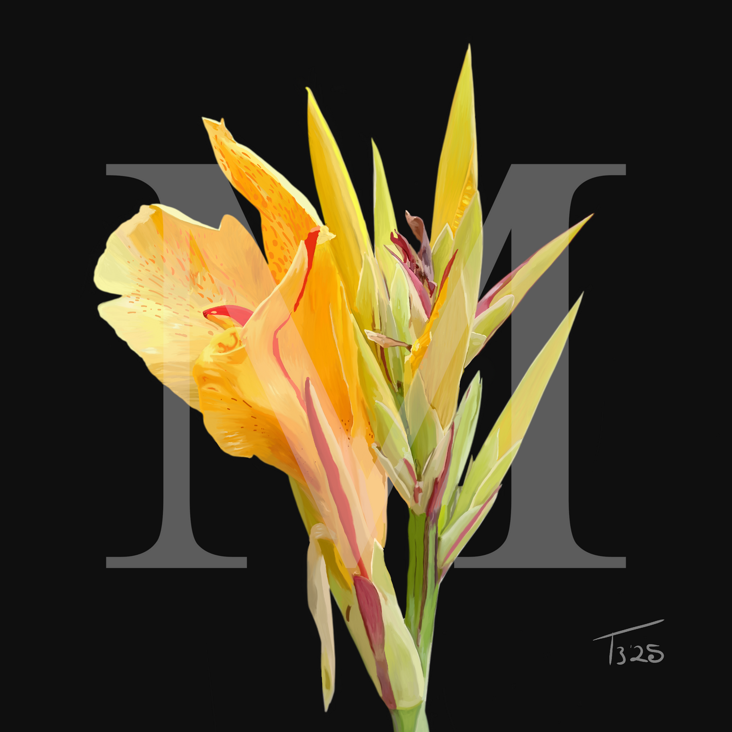 Yellow King Humbert Canna Lily – Botanical Floral Canvas Print (50cm x 50cm)