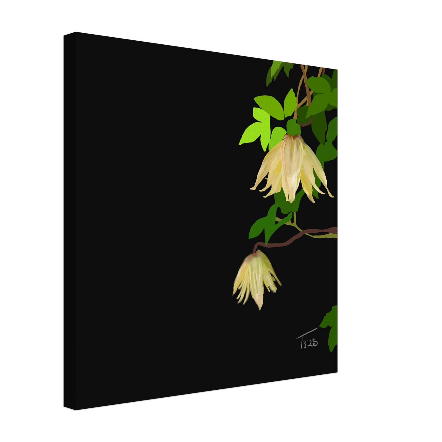 b-2025-bot-clematis-yellow