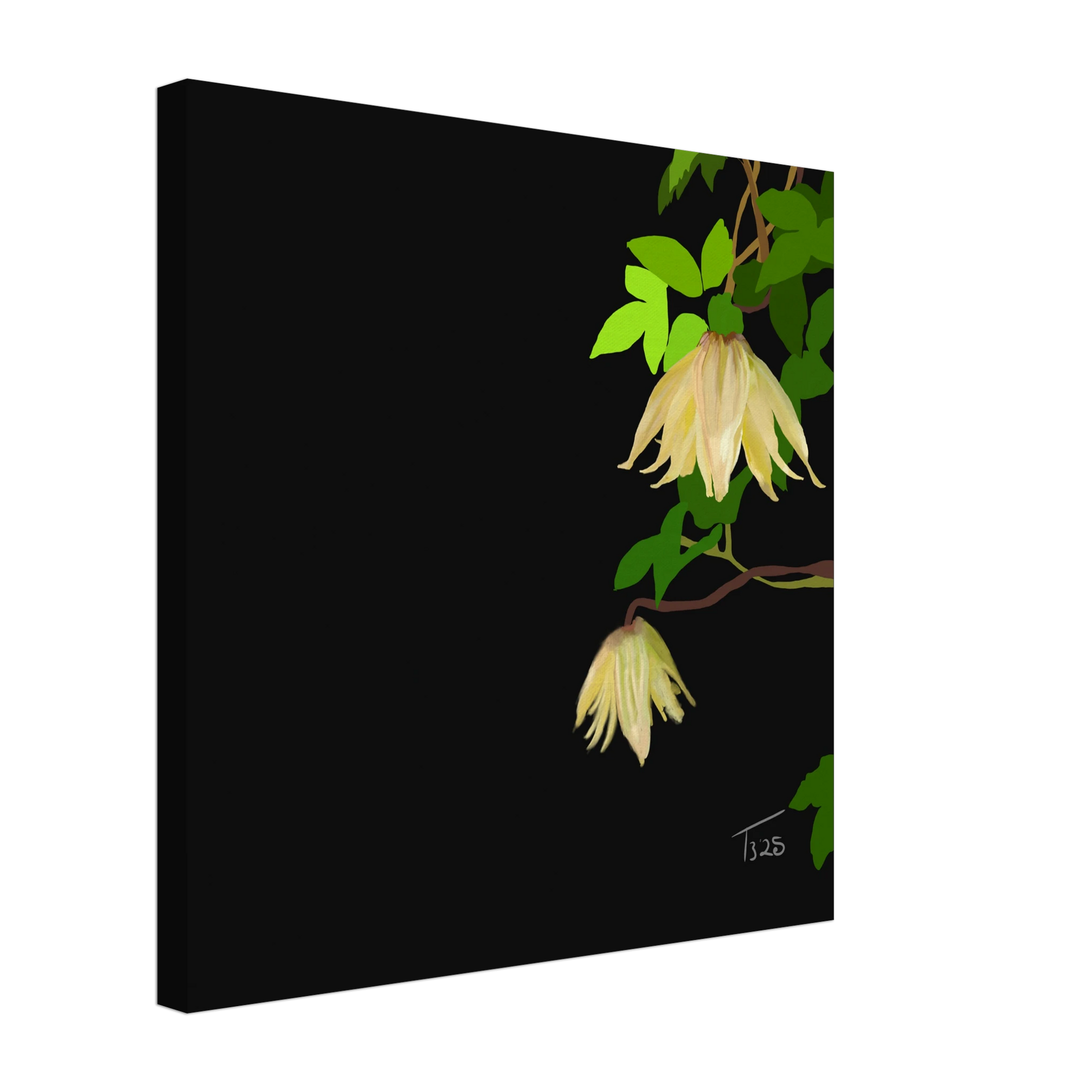 b-2025-bot-clematis-yellow