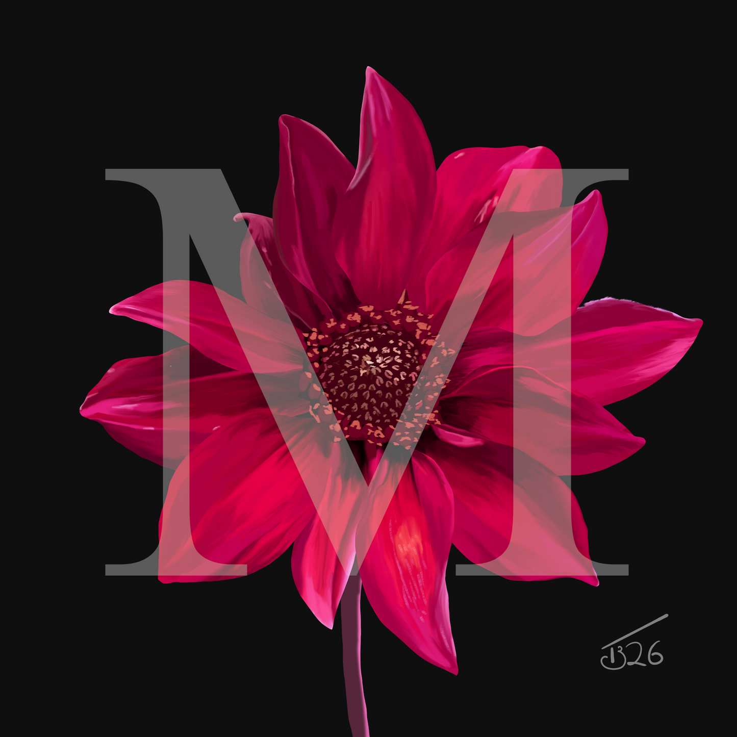 Red Dahlia Premium Canvas Art Print – Botanical Noir & White Editions (50 x 50 cm)