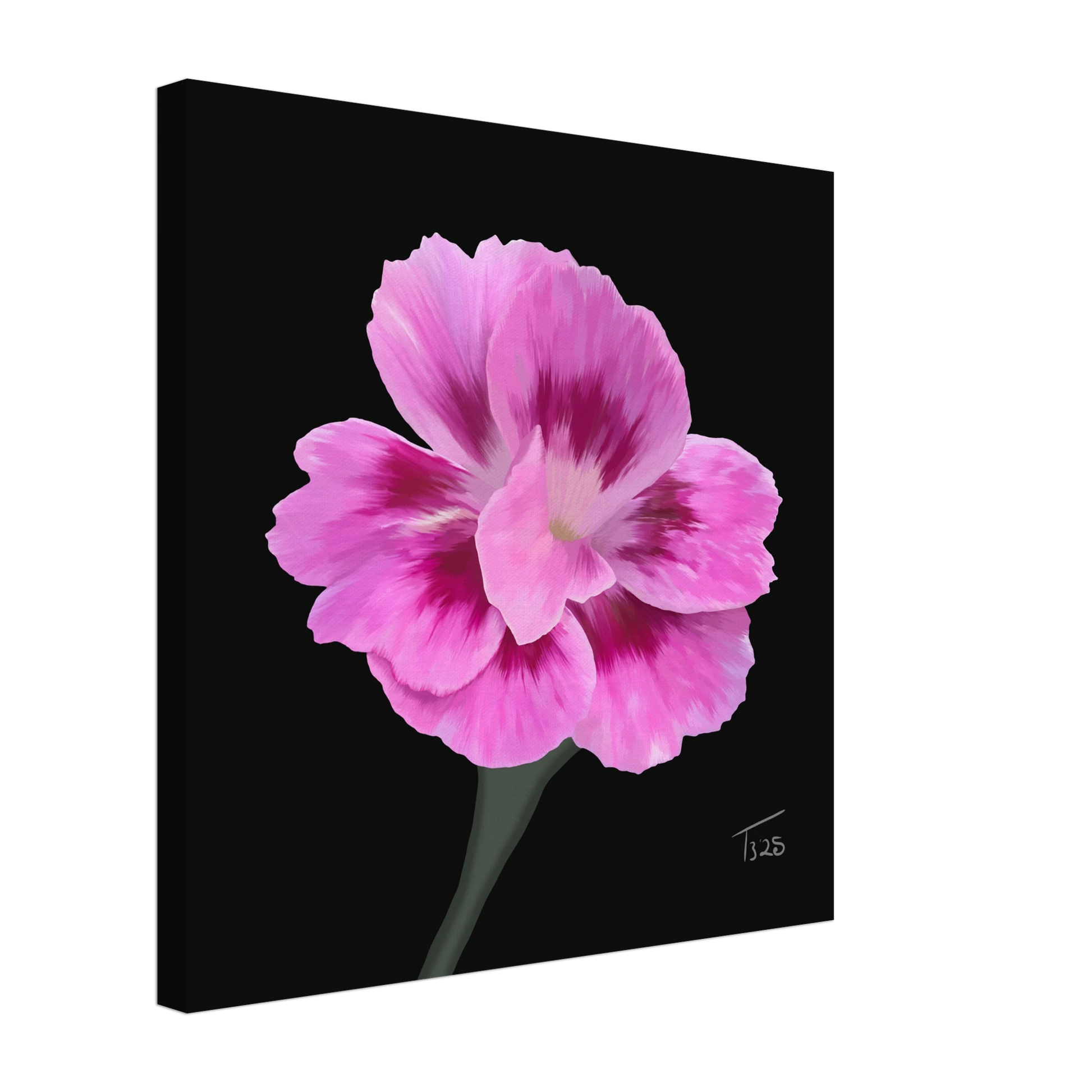 b-2025-bot-dianthus-oscar-purple-star