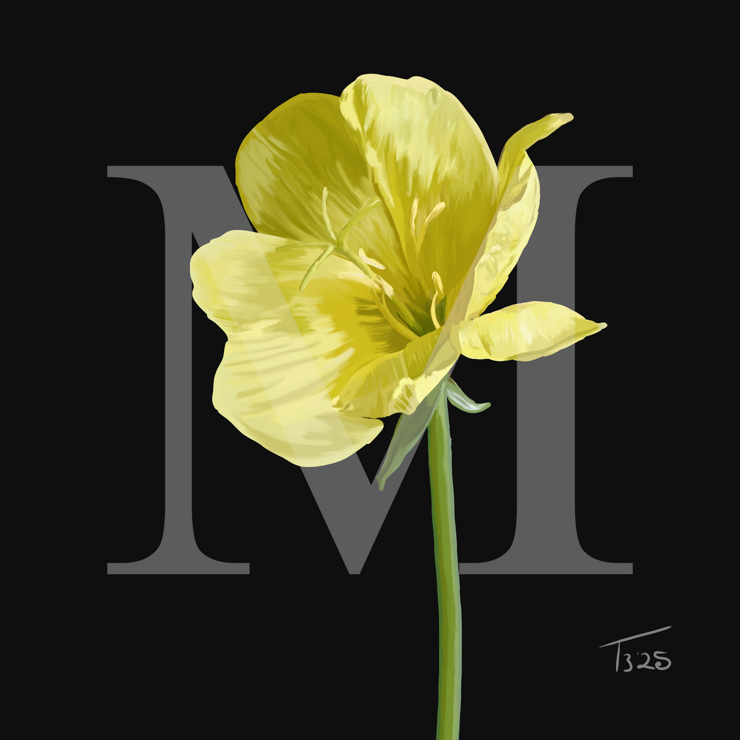 Evening Primrose Yellow - Premium Square Canvas Art (50 x 50 cm)
