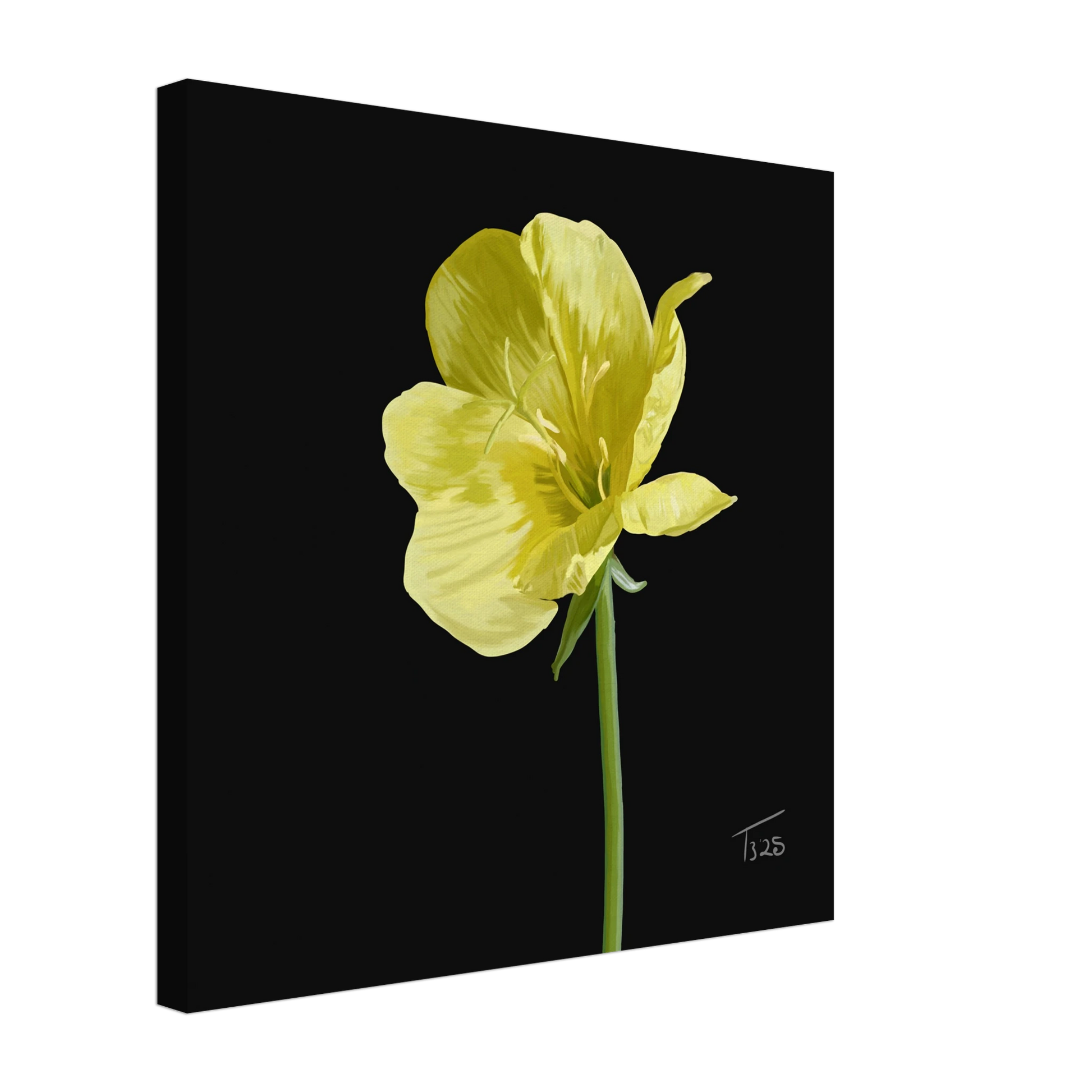 b-2025-bot-evening-primrose-yellow