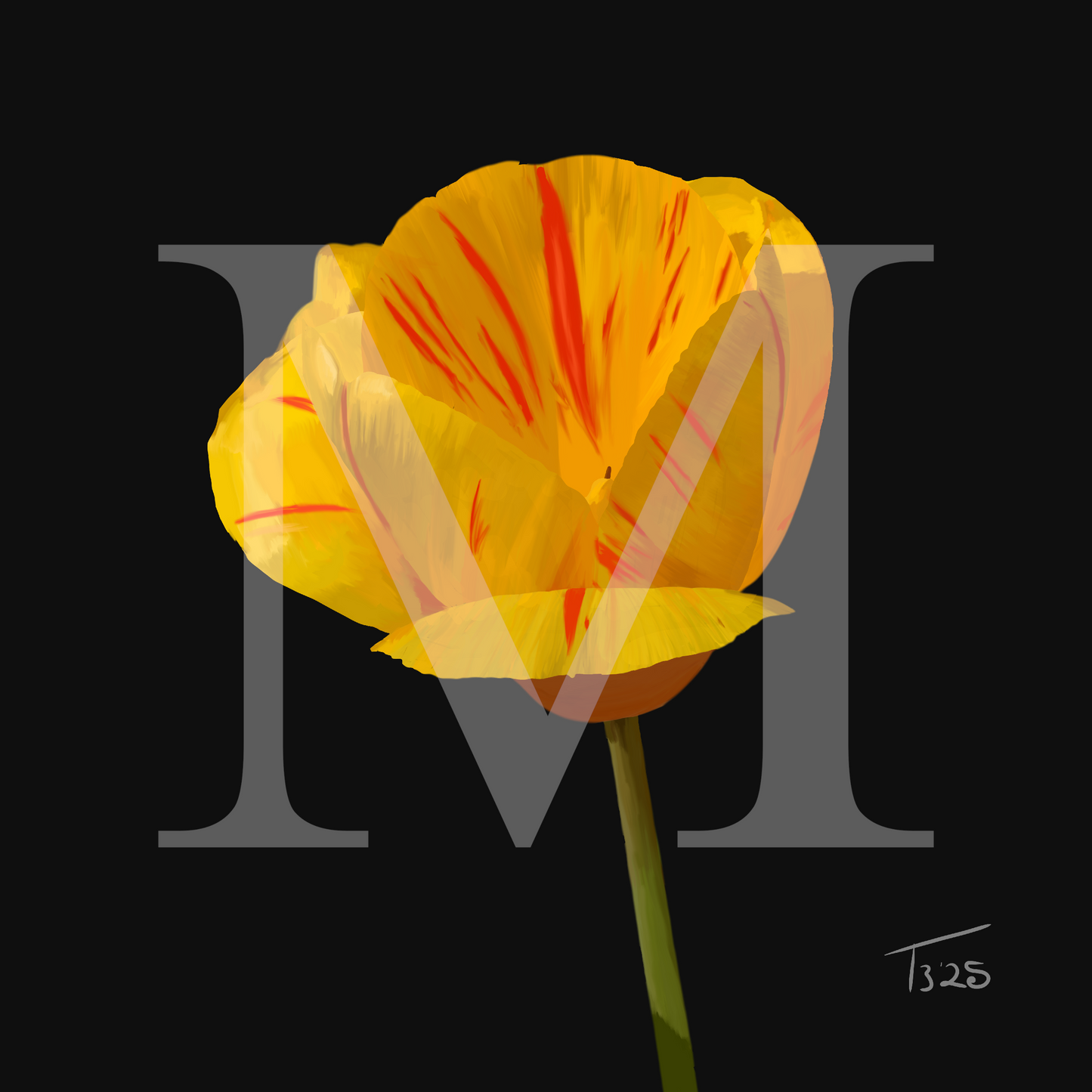 "Golden Flame" Tiger Tulip - Premium Square Canvas Art (50 x 50 cm