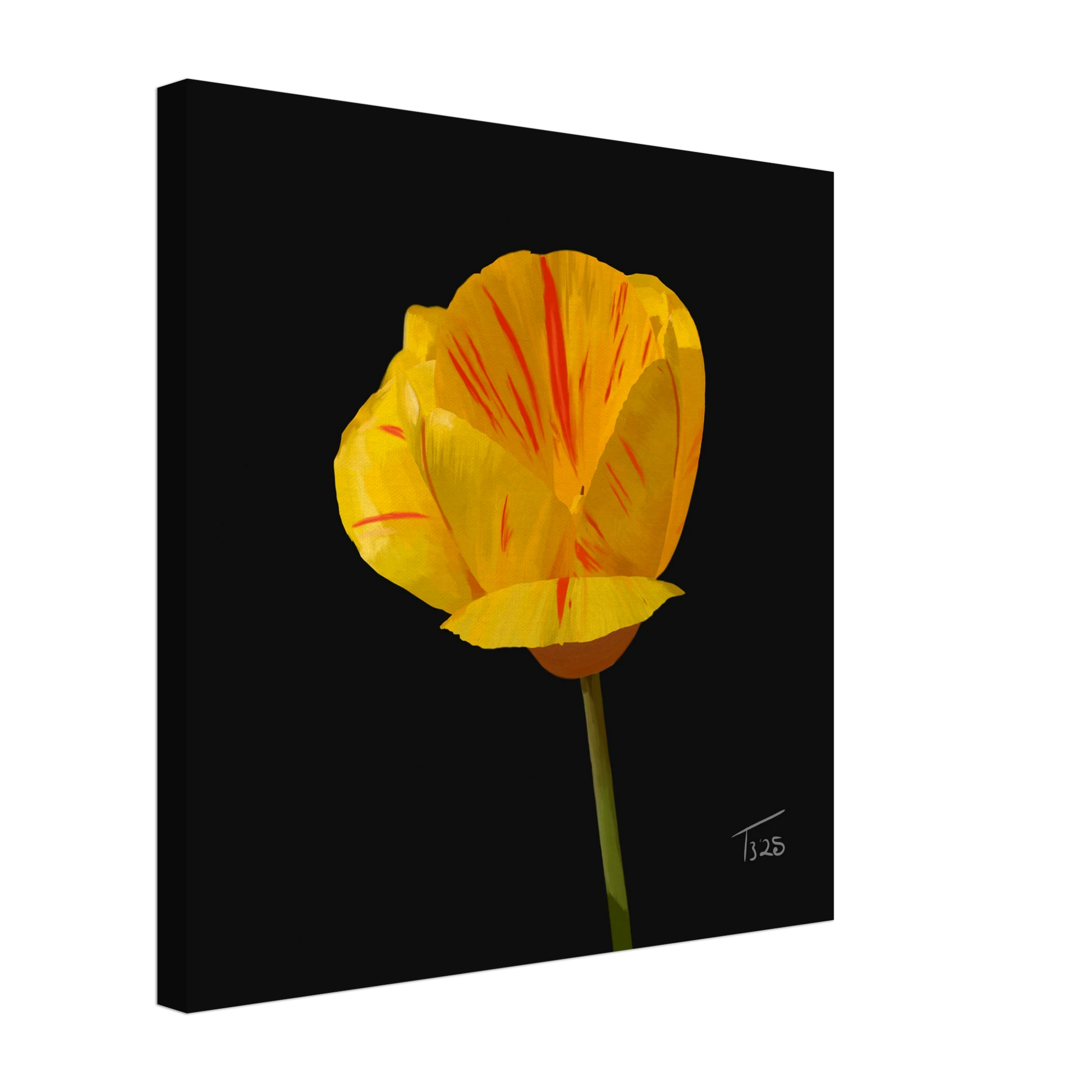 b-2025-bot-tulip-tiger-tulip-yellow