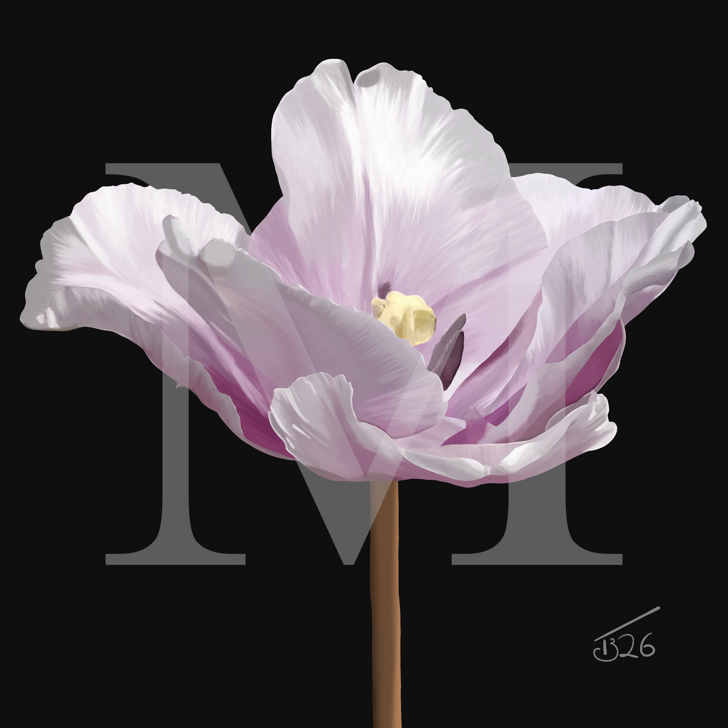 "Ethereal Bloom" Parrot Tulip - Premium Square Canvas Art (50 x 50 cm)