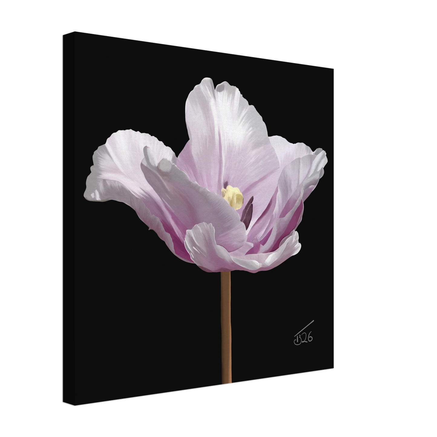 b-2026-bot-parrot-tulip-james-last