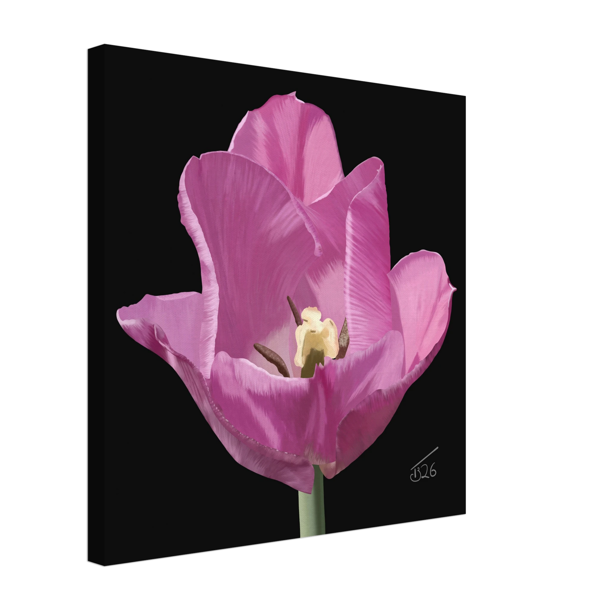 b-2026-bot-tulip-alibi-lilac