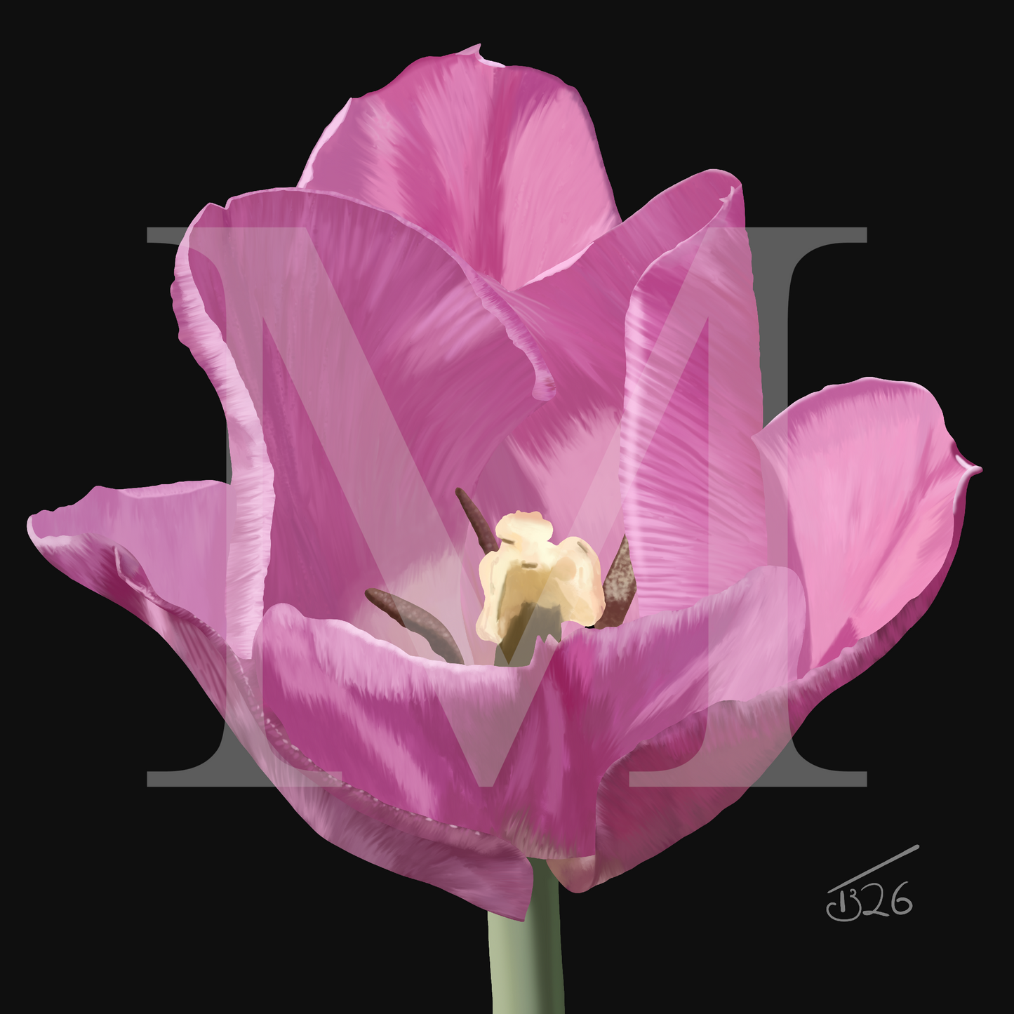 Alibi Lilac Tulip – Premium Square Botanical Canvas Art (50 x 50 cm)