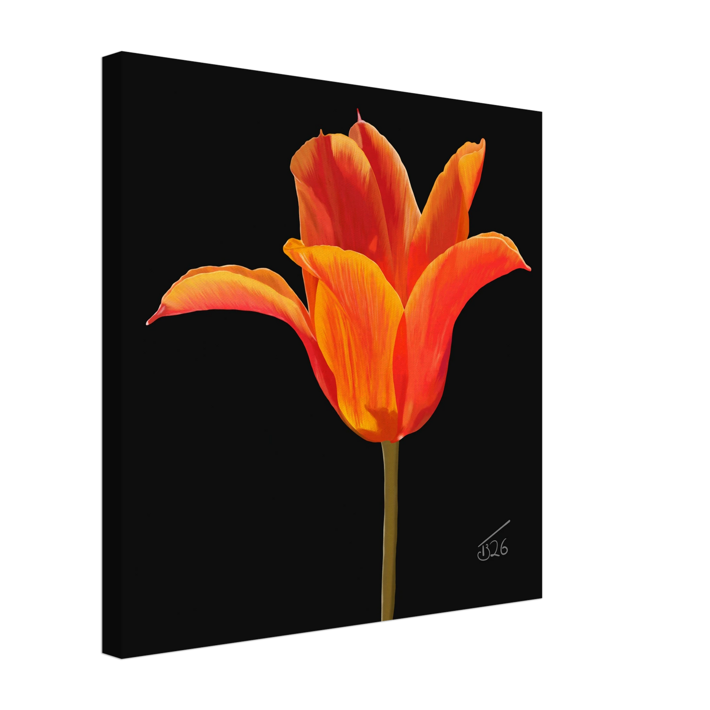 b-2026-bot-tulip-ballerina-orange