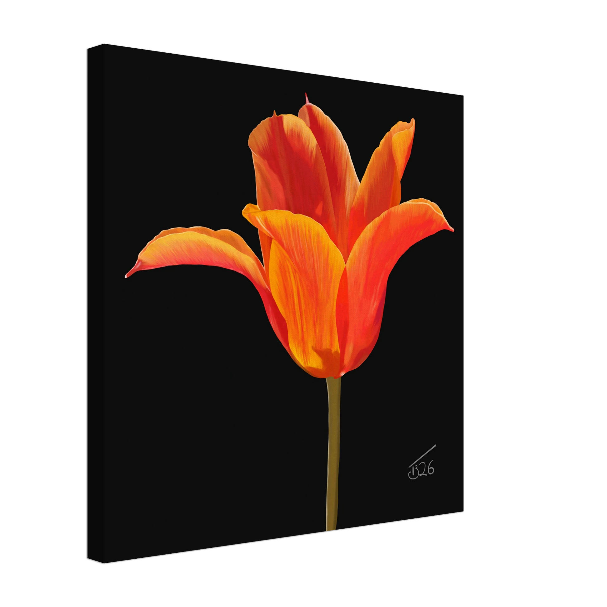 b-2026-bot-tulip-ballerina-orange
