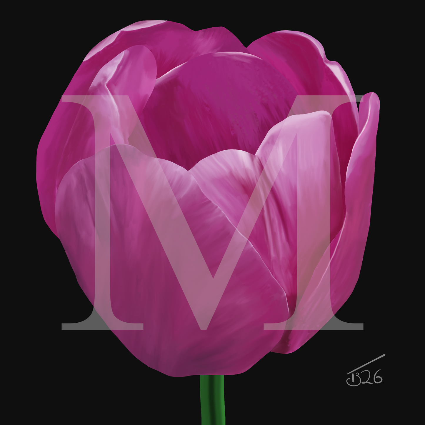 Purple Passion Tulip - Premium Square Canvas Art (50 x 50 cm)