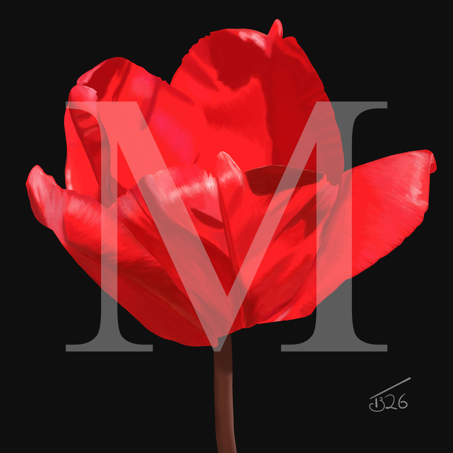 Red Impression Tulip - Premium Square Canvas Art (50 x 50 cm)