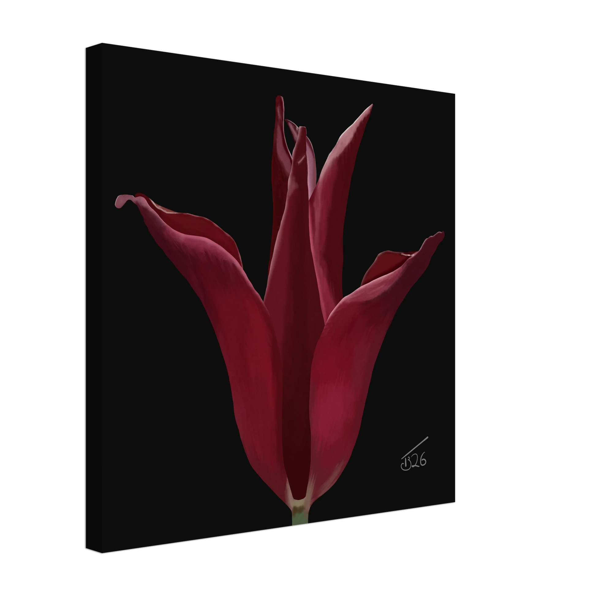 b-2026-bot-tulip-sarah-raven