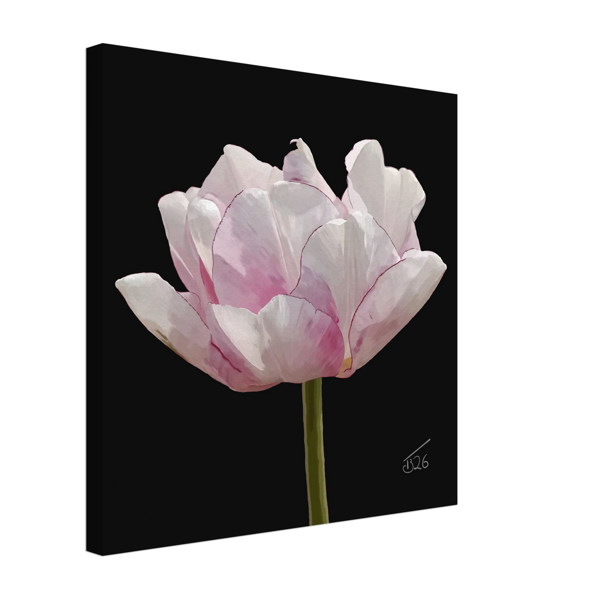 b-2026-bot-tulip-tulip-angelique
