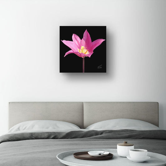 Purple Dream Lily-Flowered Tulip - Premium Square Canvas Art (50 x 50 cm)