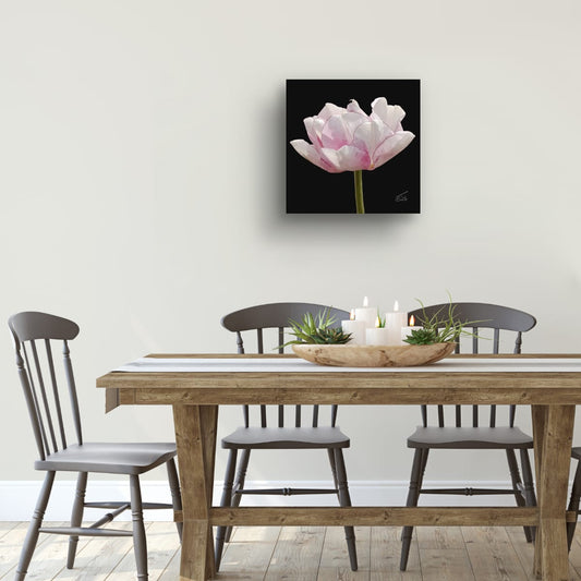 Tulip 'Angelique' - Premium Square Canvas Art (50 x 50 cm)