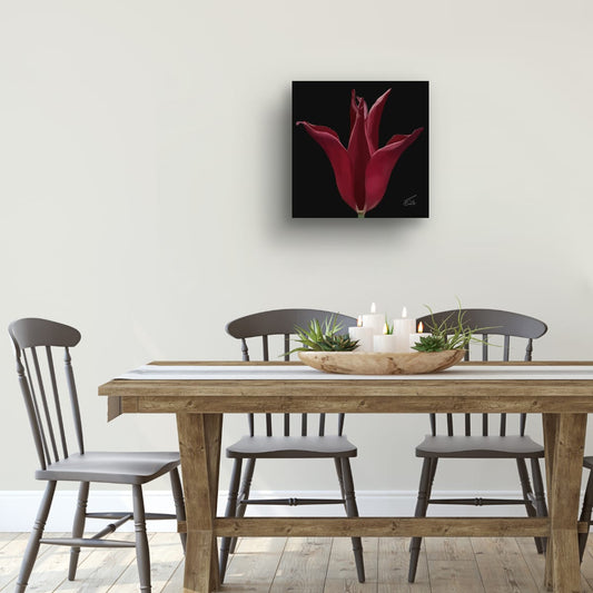 Sarah Raven Velvet Bloom Tulip - Premium Square Canvas Art (50 x 50 cm)