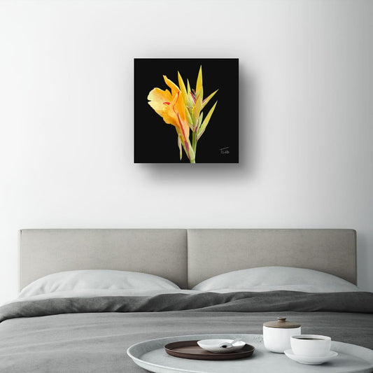 Yellow King Humbert Canna Lily – Botanical Floral Canvas Print (50cm x 50cm)