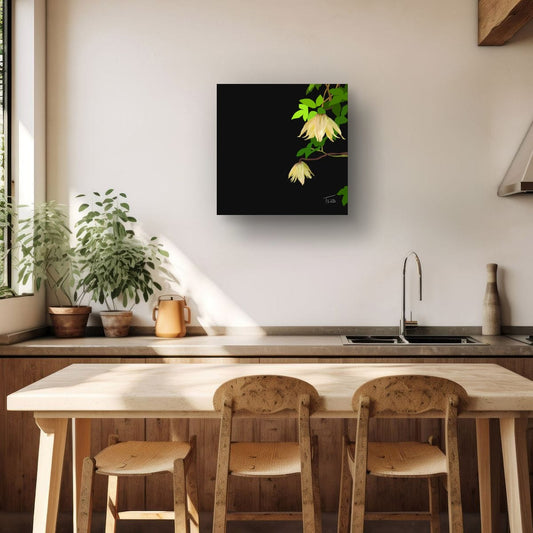 Golden Clematis Tangutica Botanical Canvas Print – White & Noir Editions (50 x 50 cm)