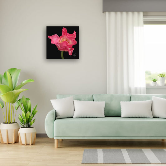 Crown of Destiny Tulip – Vibrant Red Tulip Premium Square Canvas Art (50 x 50 cm)