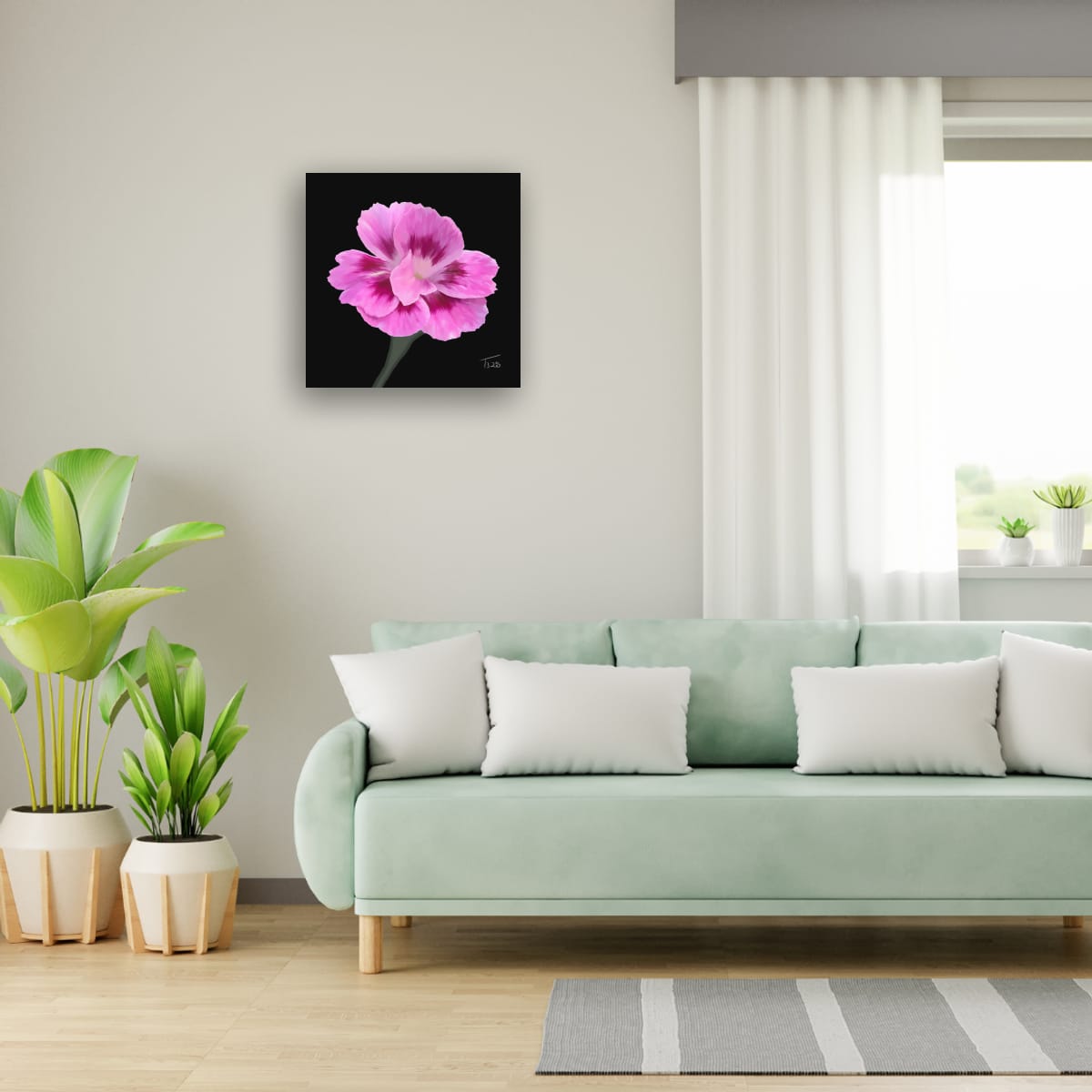 Dianthus Oscar Purple Star - Premium Square Canvas Art (50 x 50 cm)