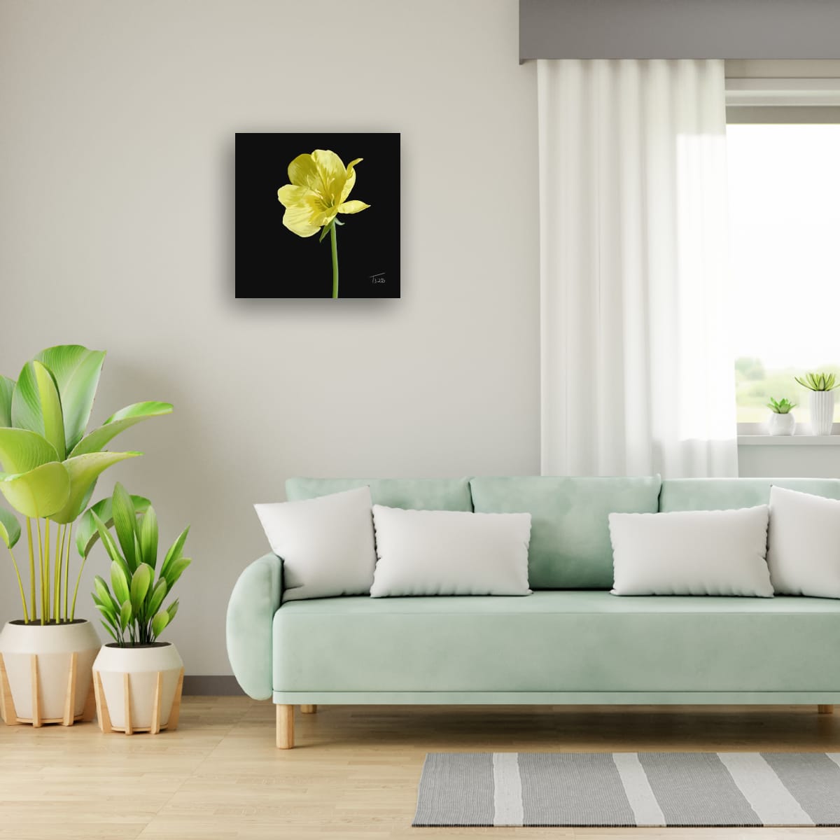 Evening Primrose Yellow - Premium Square Canvas Art (50 x 50 cm)