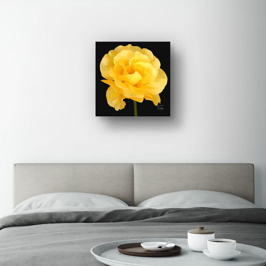 Golden Heirloom Rose - Premium Square Canvas Art (50 x 50 cm)