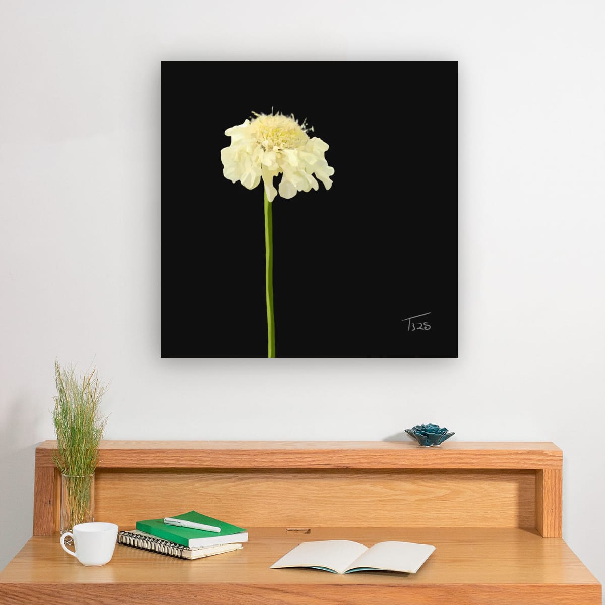 Creamy Yellow Scabious - Premium Square Canvas Art (50 x 50 cm)