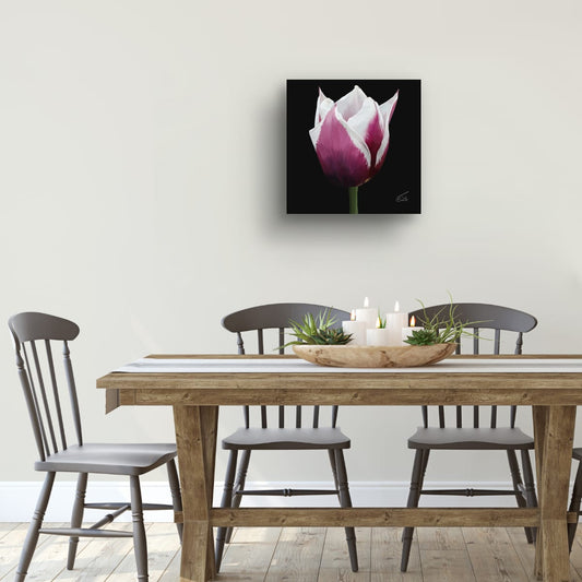 Spitsbergen Tulip Botanical Art - Premium Square Canvas Art (50 x 50 cm)